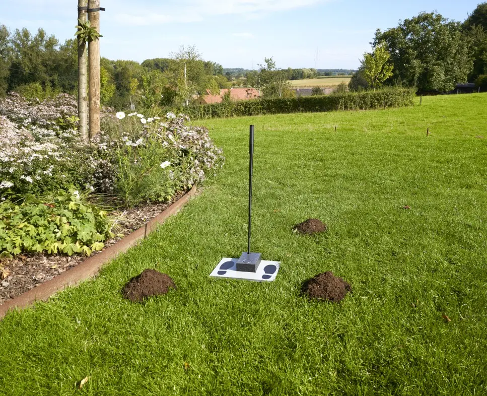 Taupe-Stop-Mole jardin