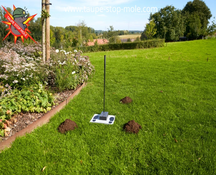 Molverjager toestel geplaatst in gazon met molshopen in groene tuin