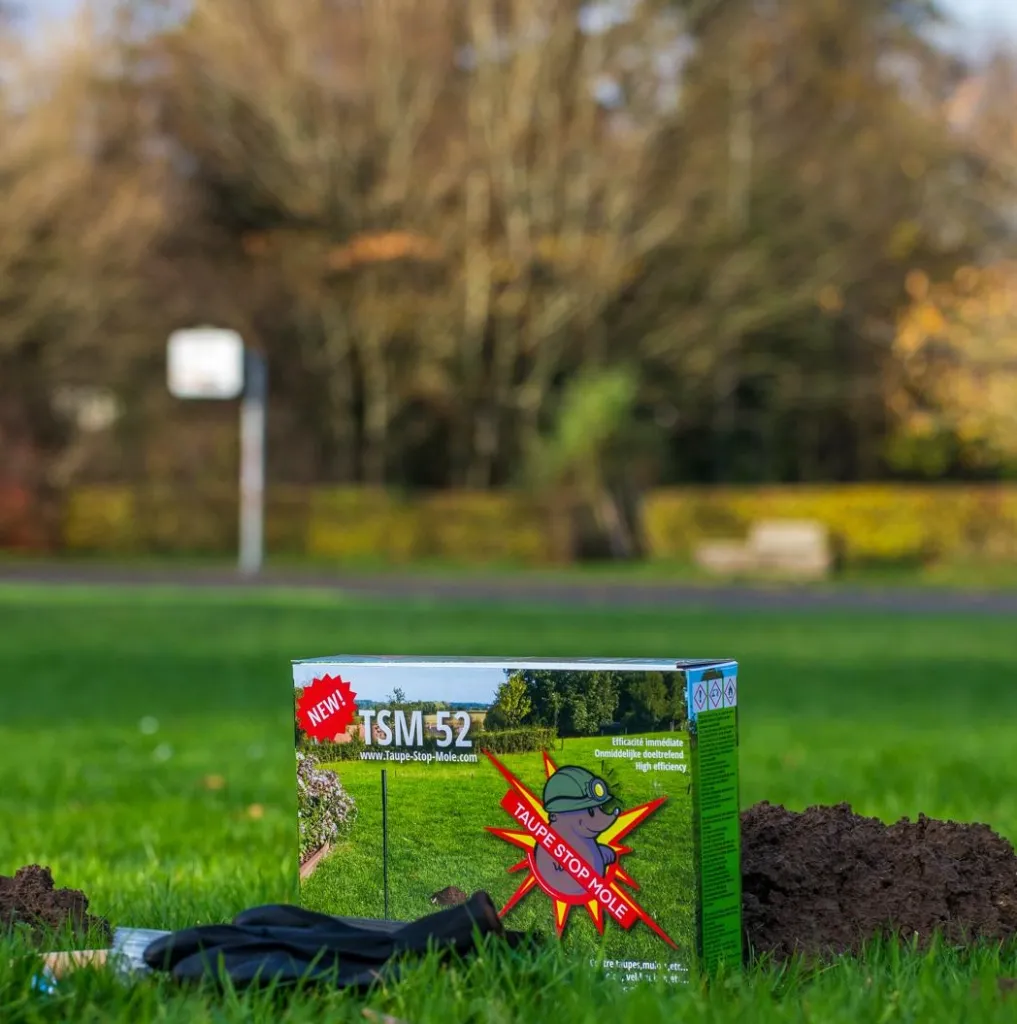 Foto website megt basketring.webp