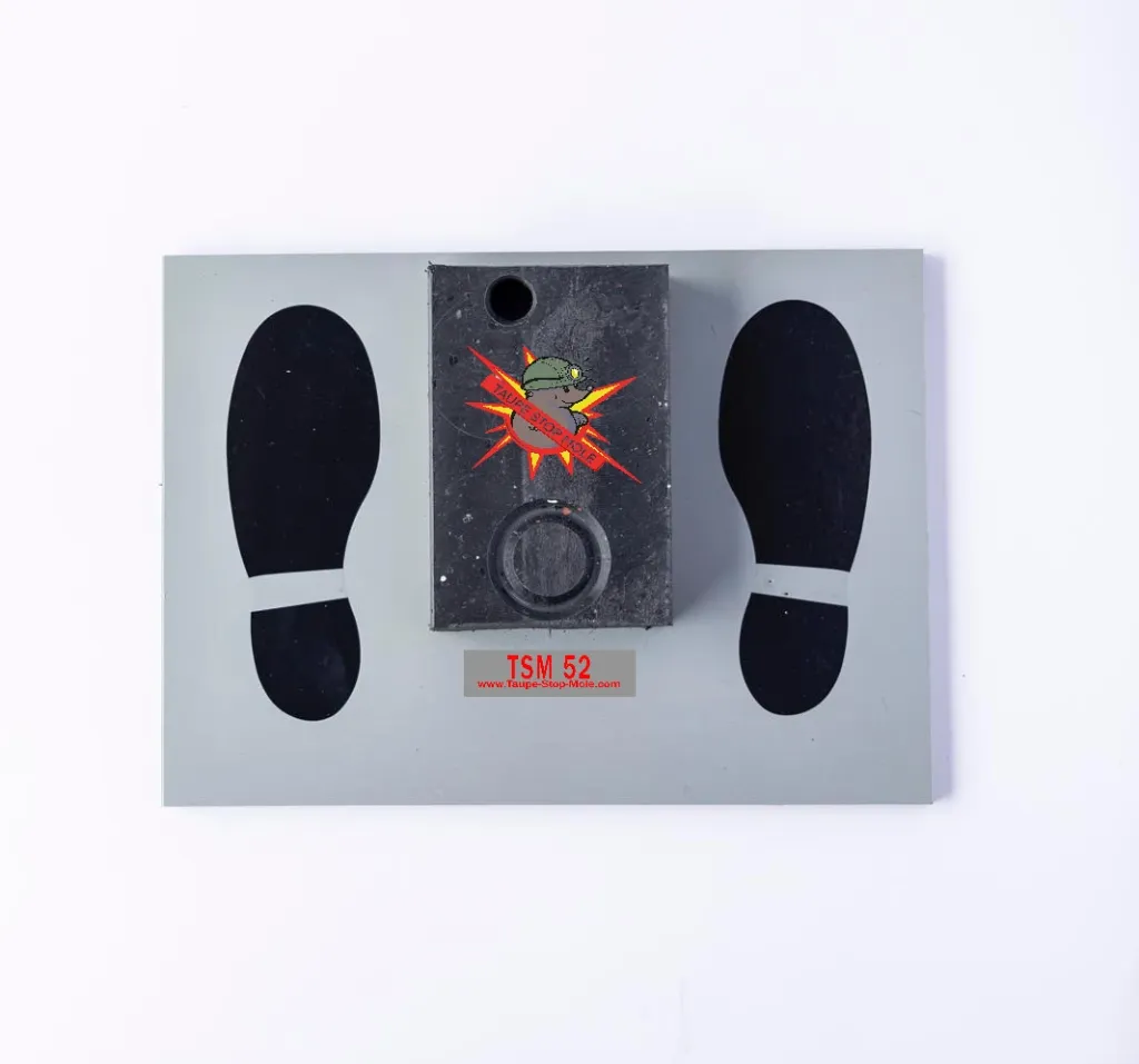 Afbeelding website 6.webp